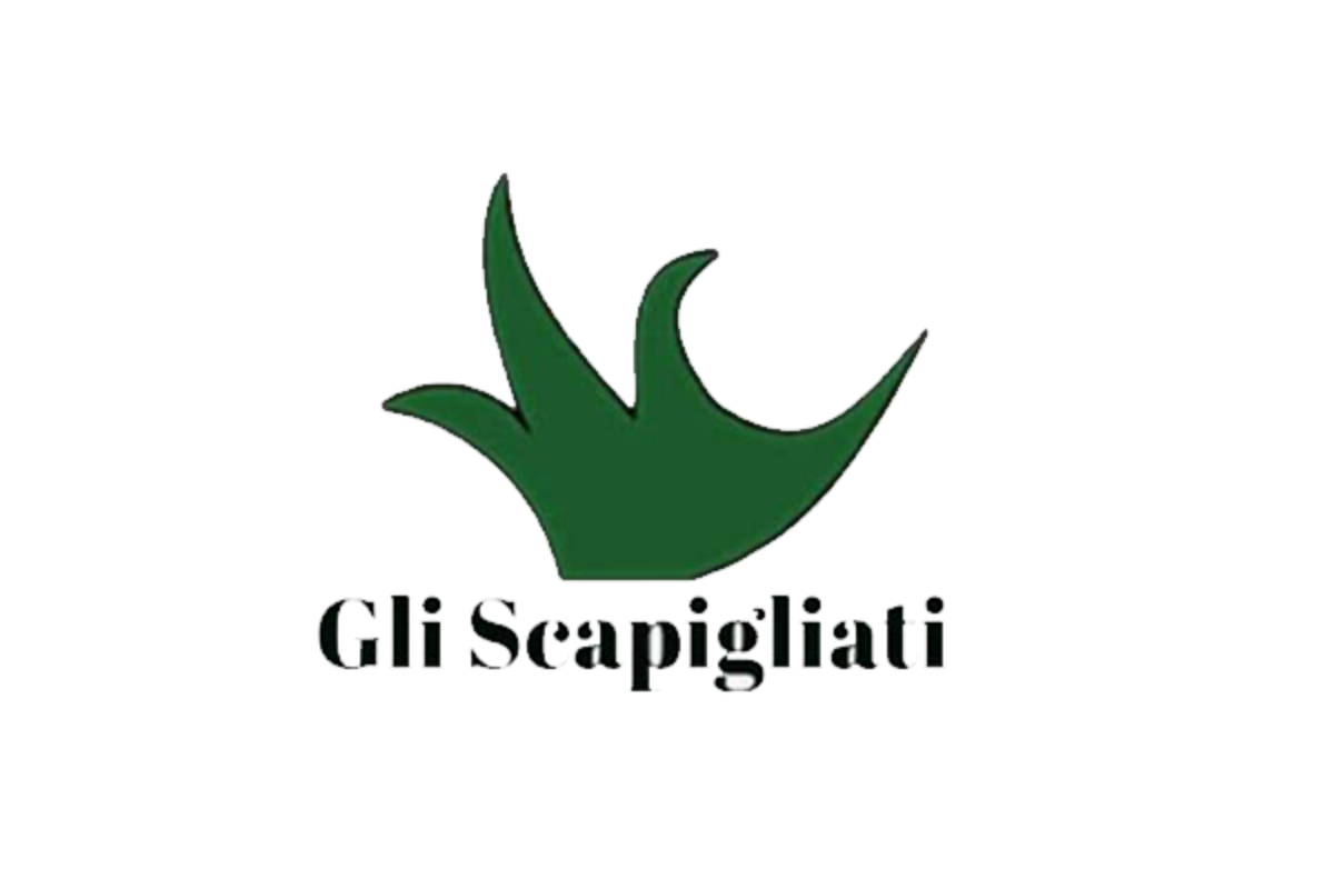 Cooperativa Sociale gli Scapigliati
